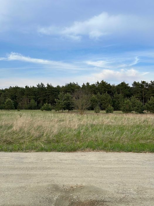 Działka nad zbiornikiem wodnym Przykona - Widok 2