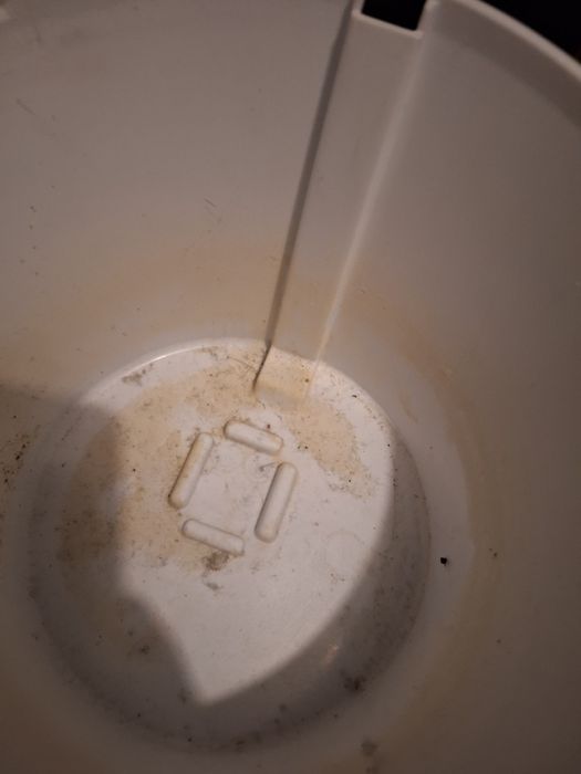 Poidło fontanna dla kota