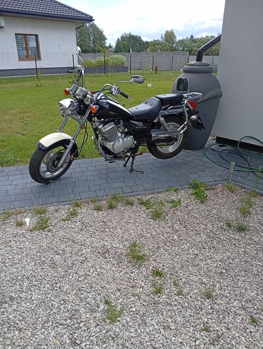 Motor Zipp rewen 250