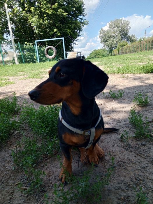 В'язка для хлопчика