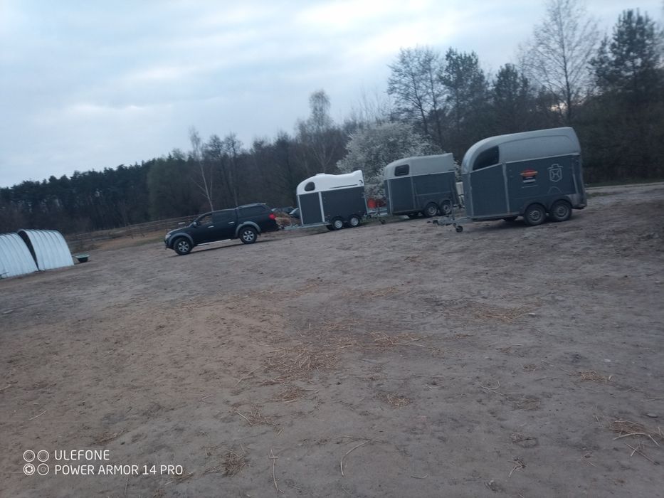 Transport koni okolice Wrocławia