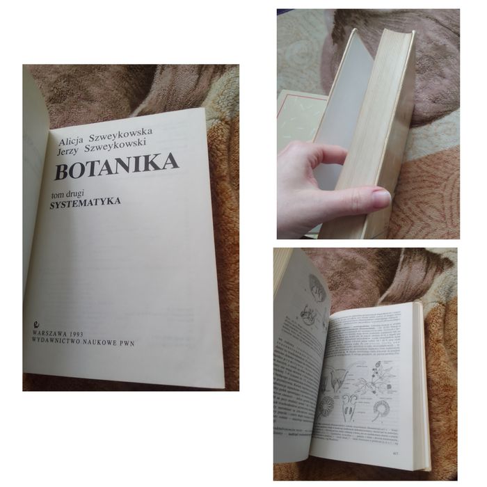 Botanika morfologia systematyka