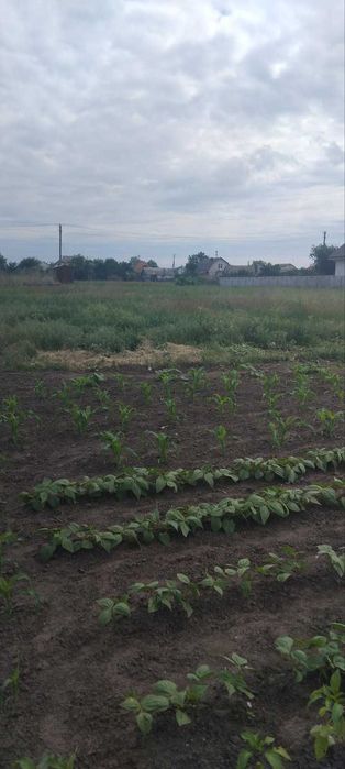 Продаж земельної ділянки з комунікаціями в Слободі