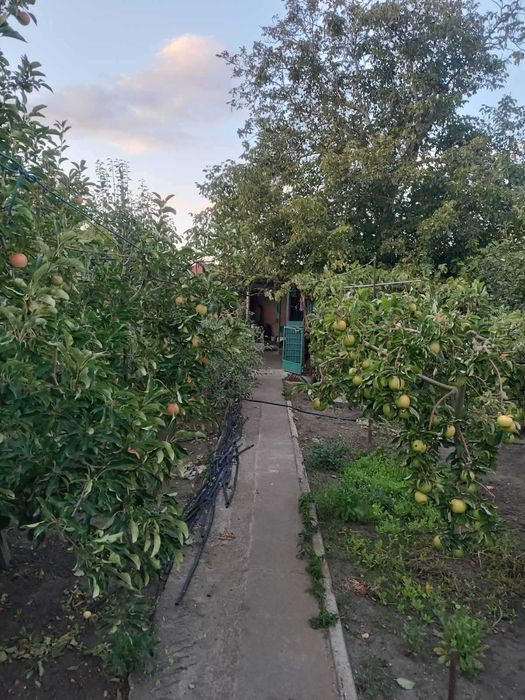 House by the address (area 80 m²) - Atlanta.ua - photo 3