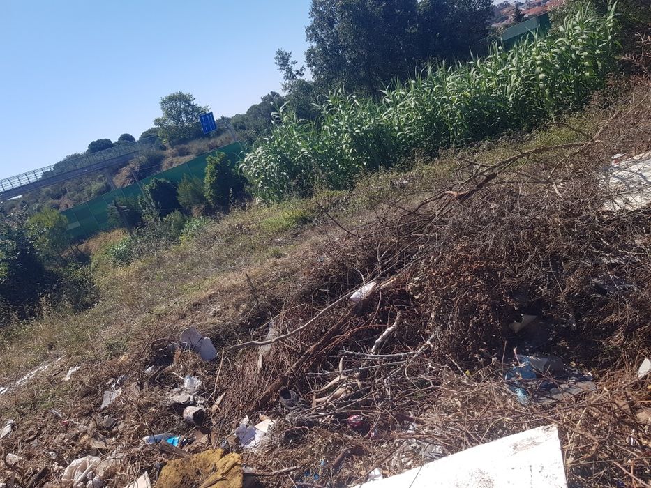 Limpezas de casas e terrenos