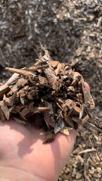 Zrębka mieszana: jabłoń, dąb, głóg, olcha cena za m3