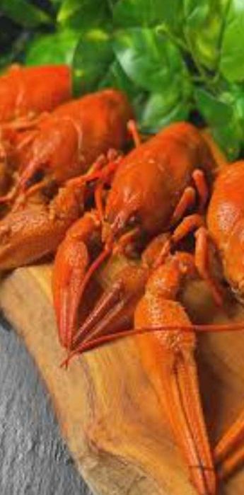 Продам живі раки