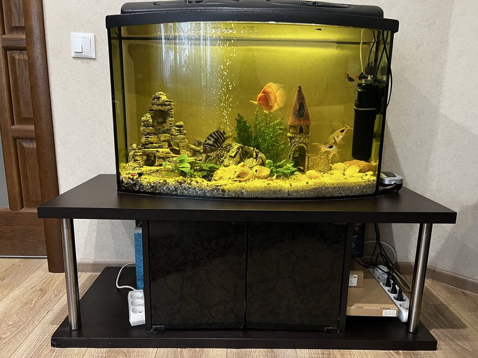 Акваріум 120л.  Рибки