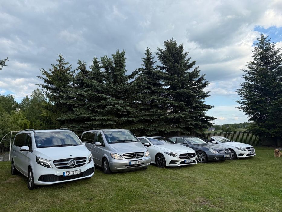 Busy osobowe, dostawcze, wynajem, Mercedes, 7-9 osób, auta OC sprawcy