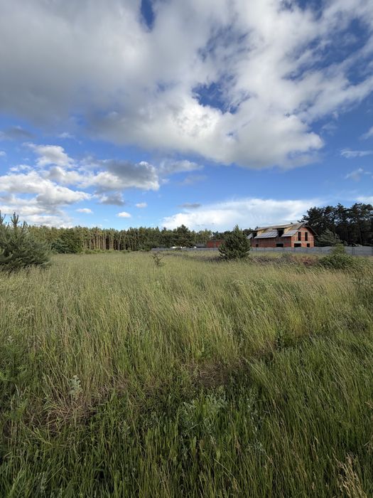 Działka budowlana 5000m2 Duszniki Wielkopolskie