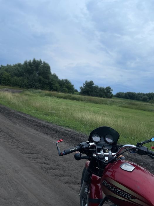 Прдам боксер 150 BM