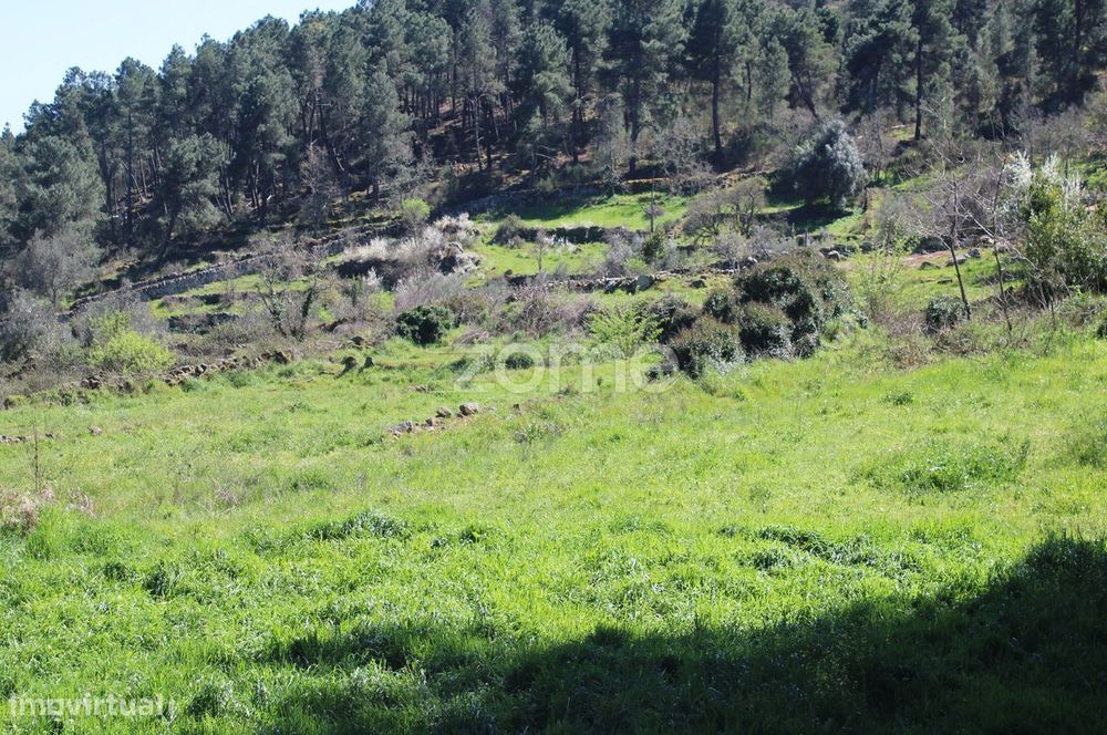 Lote de 940 m2, no monte de Nossa Senhora Do Castelo - Mangualde — Mangualde, Mesquitela E Cunha Alta, Viseu