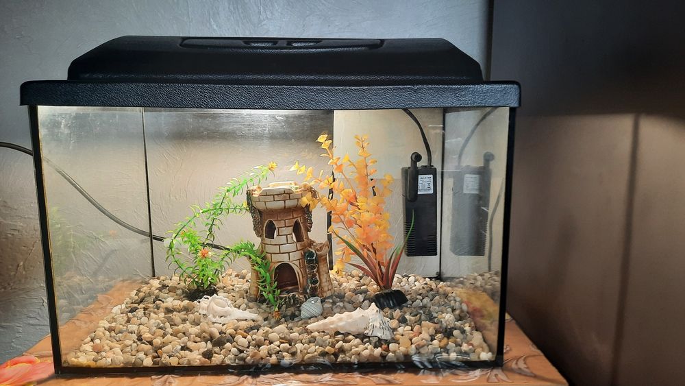 Акваріум для рибок