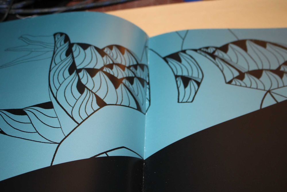 Gesto Sem Fronteiras // Álvaro D ; Luís Pedro Silva; Valter Hugo Mãe