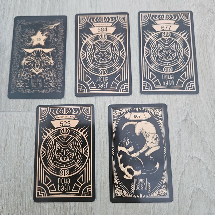 Karty Wojownicy, plakaty, smyczki itd.