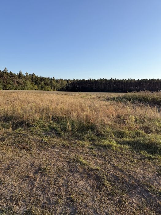 Działka budowlana 770 m² w Betkowie – ul. Cisowa, blisko lasu