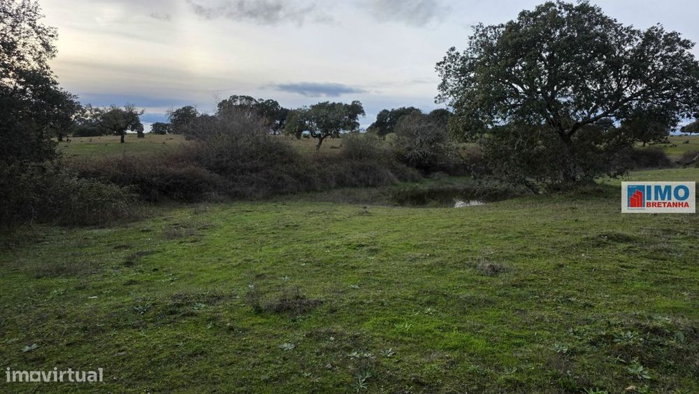 Quinta  - Alcafozes