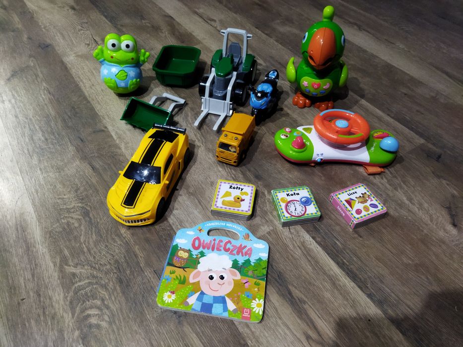 Różne zabawki i ksiazki