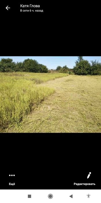 Обрізка дерев. Покіс трави, бурьяну. Стрижка газону. Стрижка кустів