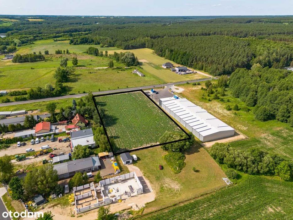 Działka inwestycyjna pod Świeciem - Więcej