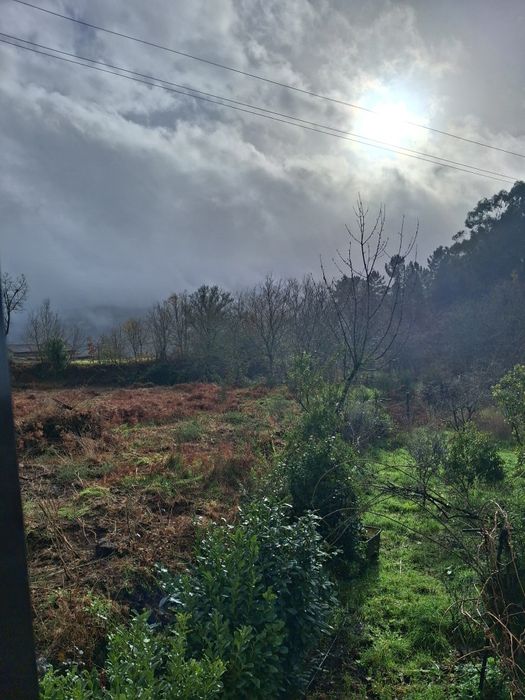 Arrendamento quarto solteiro