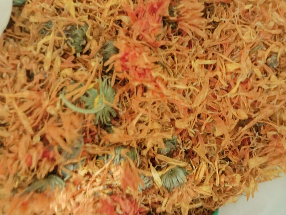 Nagietek lekarski kwiat suszony 500 g z Polski