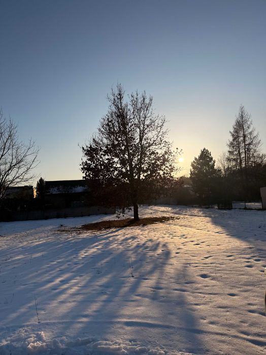 sprzedam piękną działkę usytuowaną blisko lasu