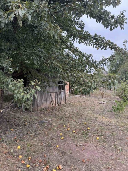 Продається дачний садівниче товариство світанок