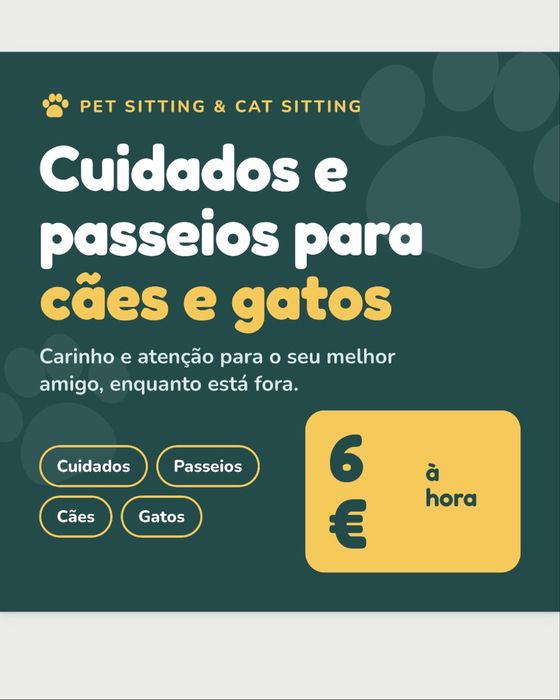 Cuidados com seu cão e gato