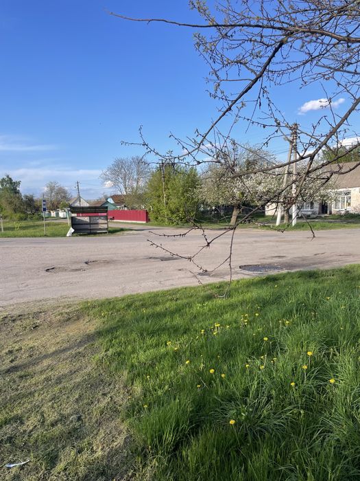 Земельна ділянка Веприк, Фастів будинок веприк, фастів