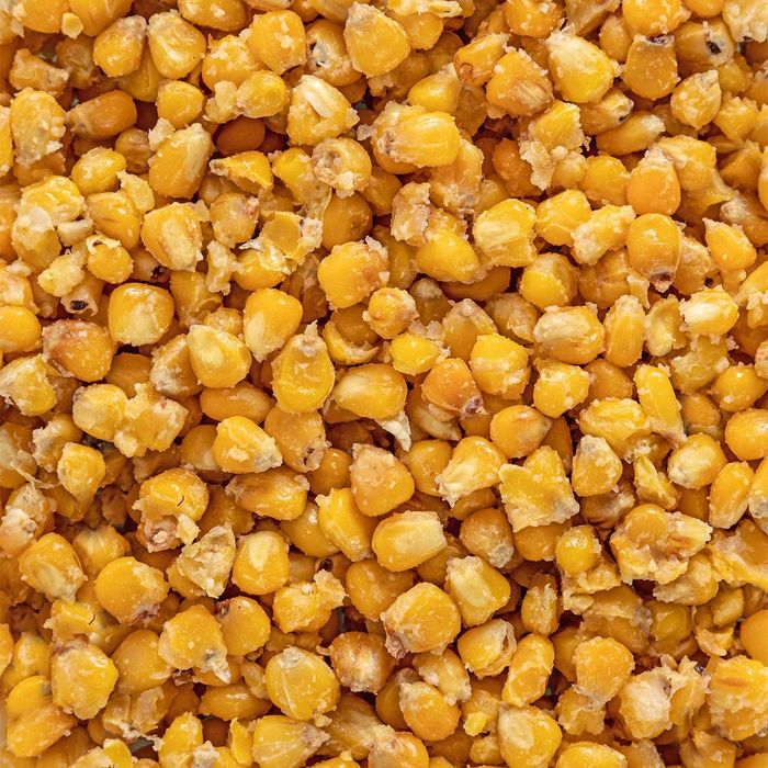 Kukurydza gotowana zanętowa 20kg