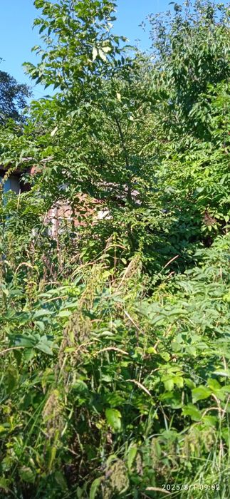 Будинок смтМаньківка Уманський,(0.5 га) загальна площа земельної ділян