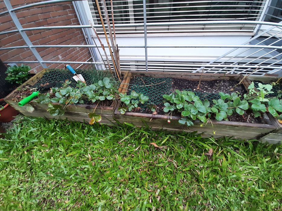 Dá-se 3 floreiras de madeira