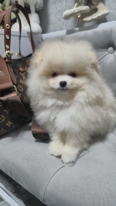 Гарненький хлопчік