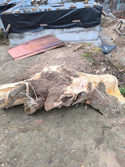 Деревина для обробки, дрова