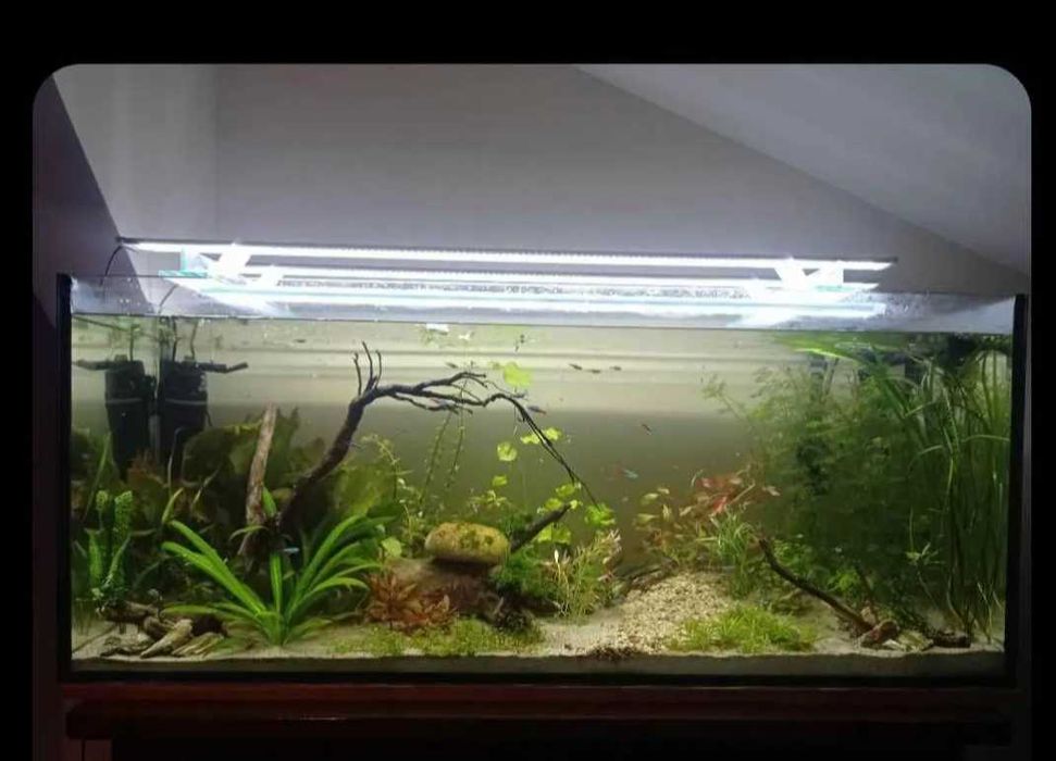 Akwarium Aquael 240
