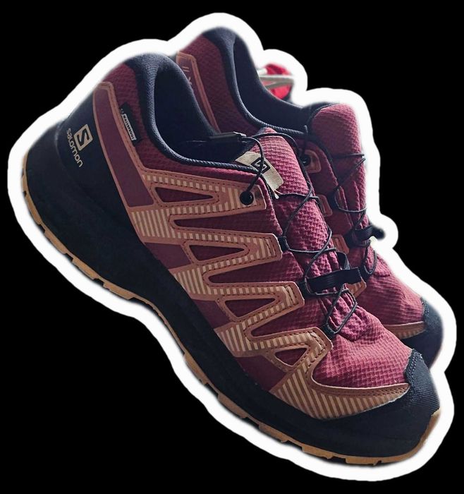 SALOMON XA Pro 39