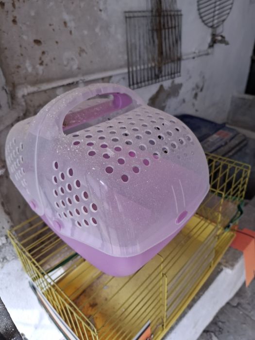 Transportadora e gaiola para roedores e pequenos animais