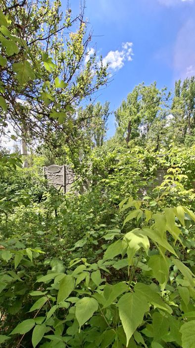 Продам 3х квартиру Кустонайская