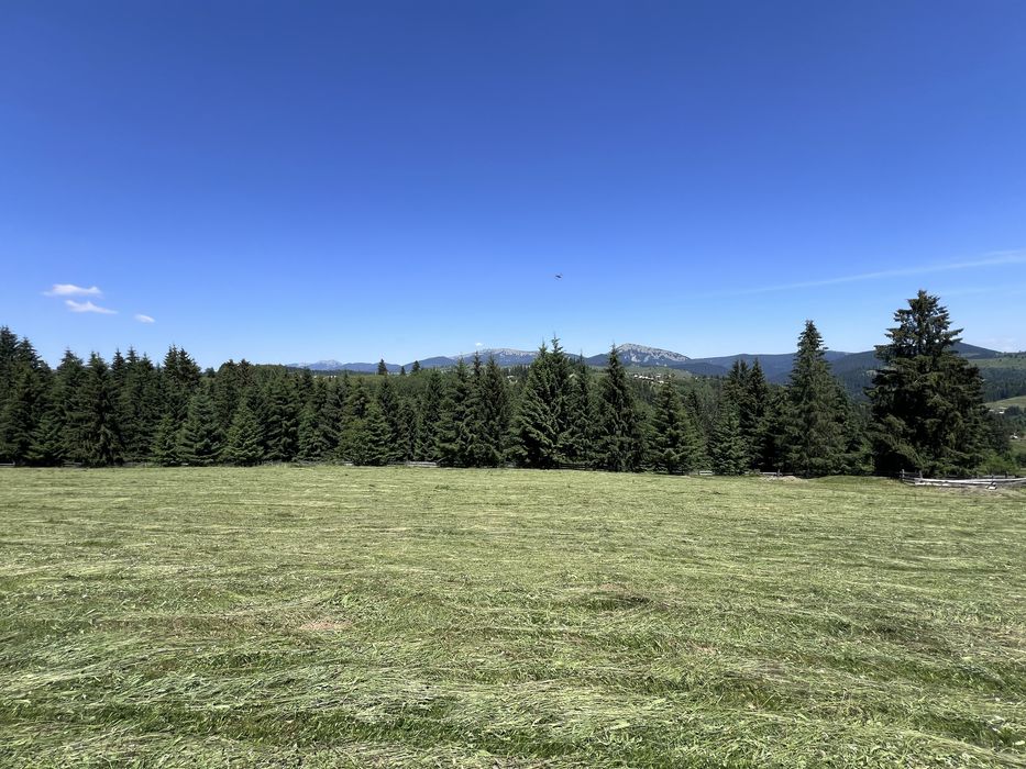115 соти ціна - 3500$ за 1 соту Яблуниця - View 4