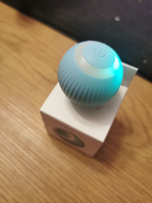 Interaktywna piłka dla kota