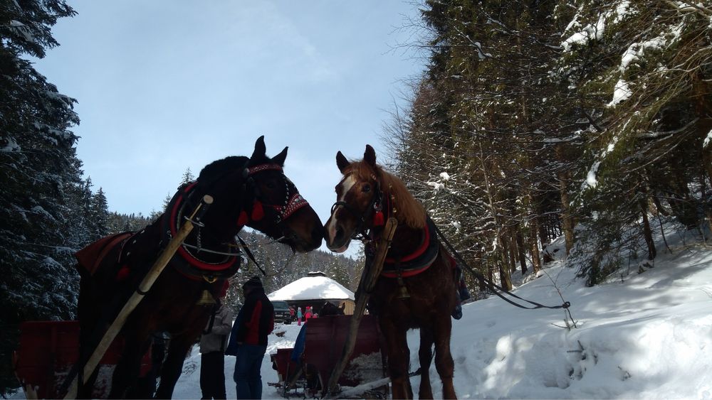 Kulig w Gorcach , biesiada, oprawy kulinarne w regionalnym stylu