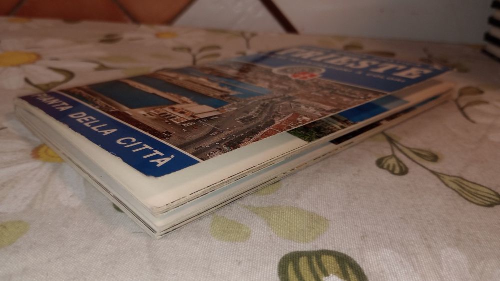 Trieste. Nuova Guida Pratica di 95 illustrazioni..
