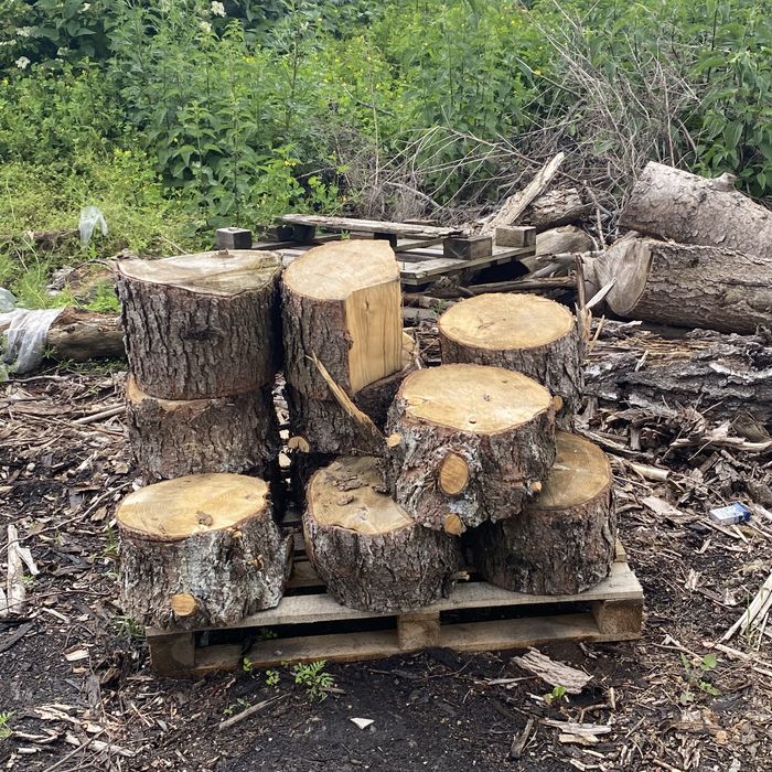 Продам дрова листяних порід