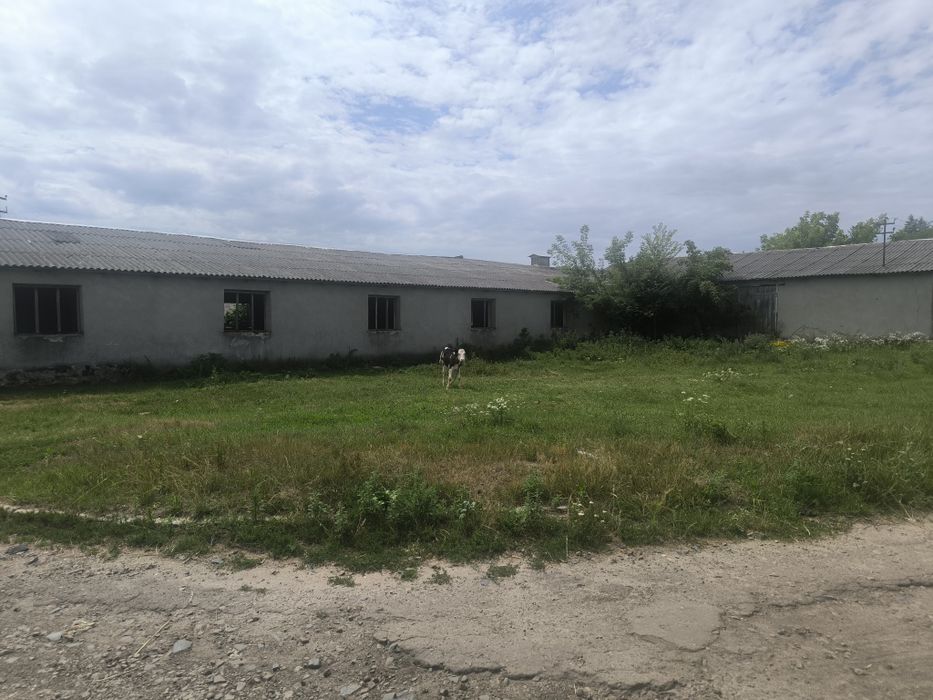 Продається нерухомість.
