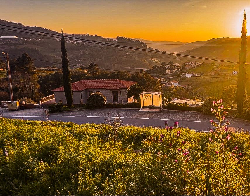 Casa Rústica com vista Douro