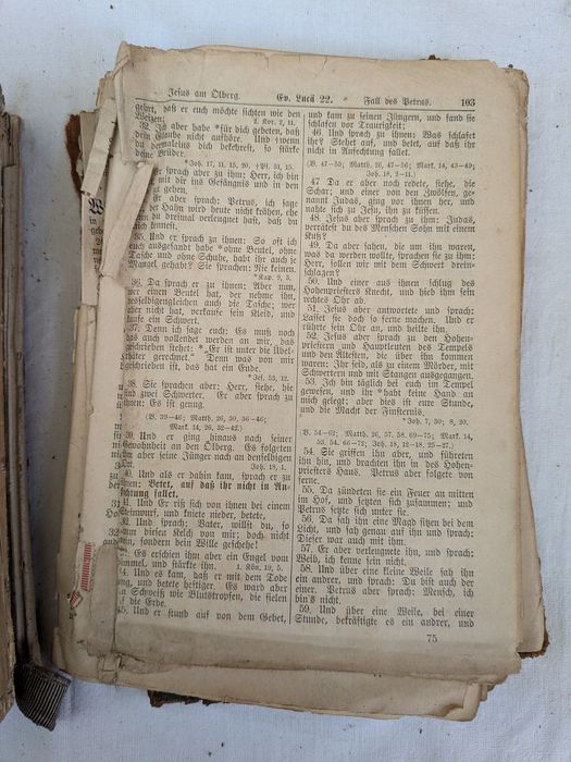 Antyczna Biblia niemiecka 1898 Martin Luther stara księga vintage