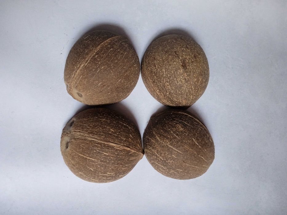 Taças de casca de coco artesanais