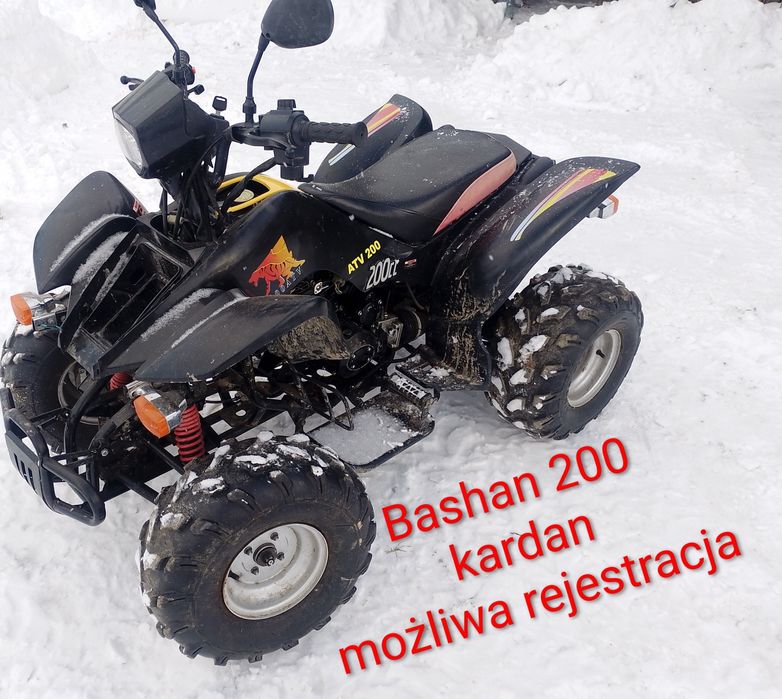Tapeta na ściane Quad Bashan 200 wał kardana