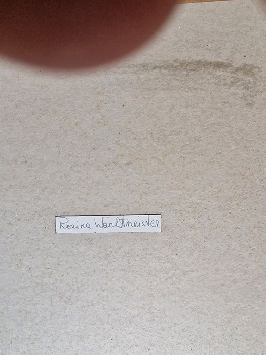 Obraz, Rosina Wachtmeister